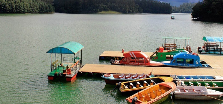 South India Coastal Tour